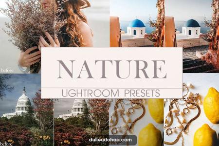 Tải 20 Preset Lightroom Nature phong cảnh thiên nhiên đẹp (Desktop)