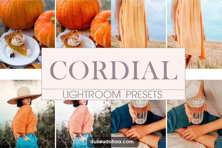 Cordial Preset Lightroom cho Desktop