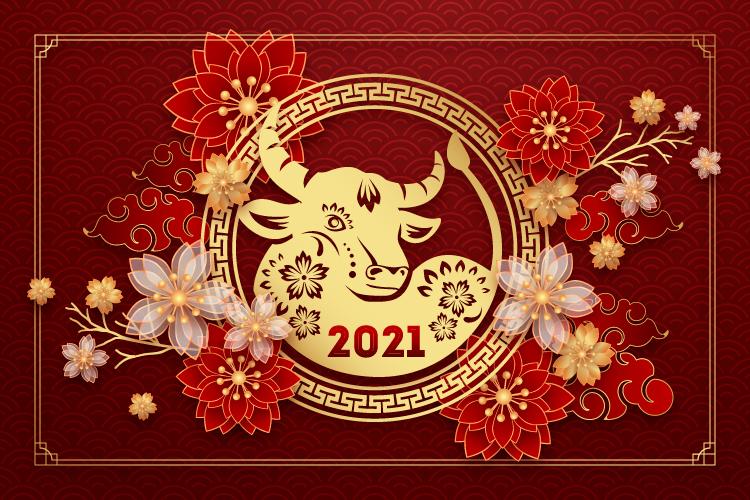 Top 100 hình nền chúc mừng năm mới - tết nguyên đán tân sửu 2021 | New year  wishes, Happy new year wishes, New year wishes images